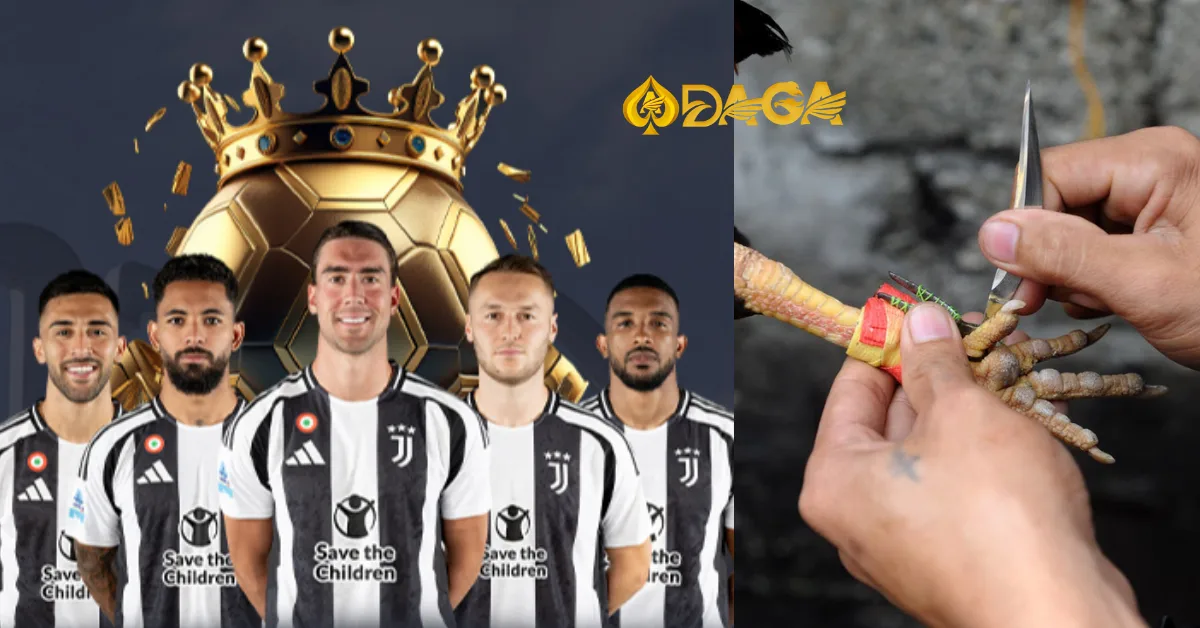 Khám phá đá gà cựa dao trực tiếp hôm nay tại Daga siêu căng